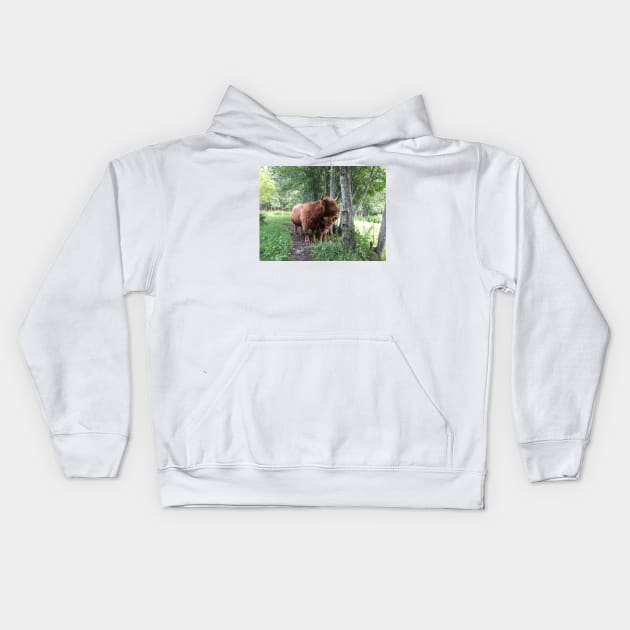 Scottish Highland Cattle Cow and Calf 1504 Kids Hoodie by SaarelaHighland